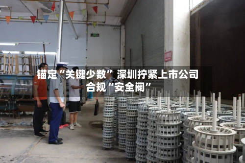 锚定“关键少数” 深圳拧紧上市公司合规“安全阀”-第3张图片