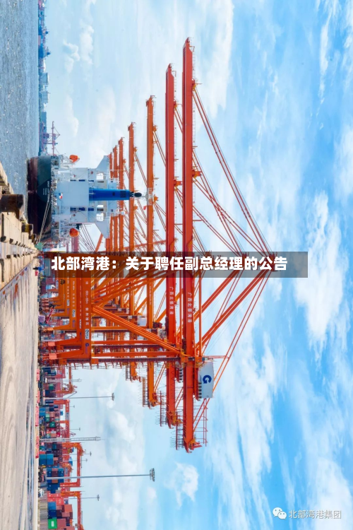 北部湾港：关于聘任副总经理的公告