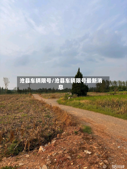 沧县车辆限号/沧县车辆限号最新消息-第2张图片