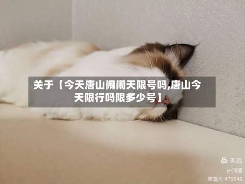 关于【今天唐山闹闹天限号吗,唐山今天限行吗限多少号】-第2张图片