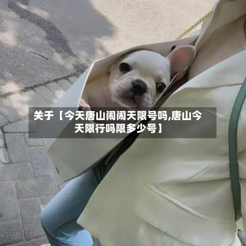关于【今天唐山闹闹天限号吗,唐山今天限行吗限多少号】-第3张图片