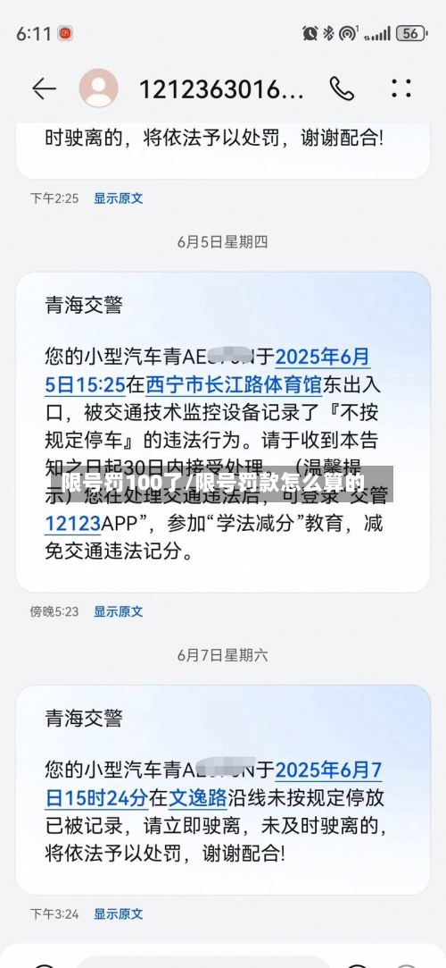 限号罚100了/限号罚款怎么算的-第3张图片