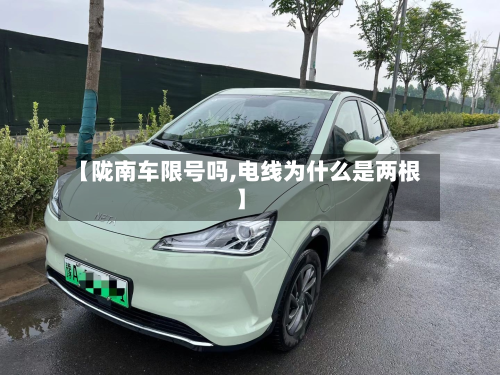 【陇南车限号吗,电线为什么是两根】-第2张图片