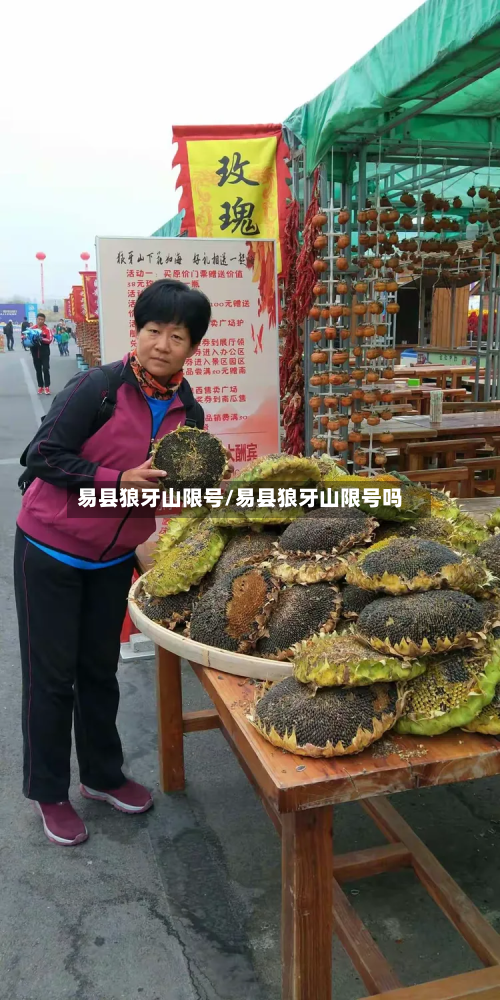 易县狼牙山限号/易县狼牙山限号吗-第2张图片