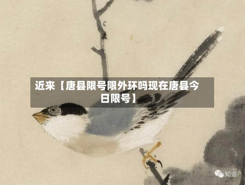 近来【唐县限号限外环吗现在唐县今日限号】