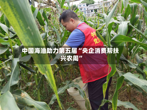 中国海油助力第五届“央企消费帮扶兴农周”-第2张图片