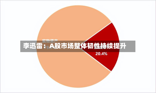 李迅雷:A股市场整体韧性持续提升