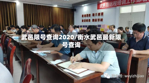 武邑限号查询2020/衡水武邑最新限号查询-第3张图片