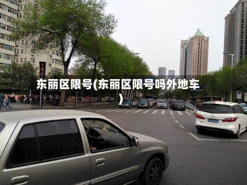东丽区限号(东丽区限号吗外地车)