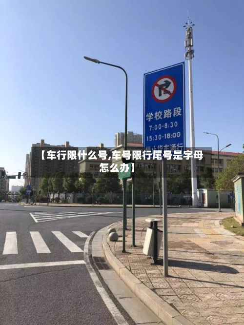 【车行限什么号,车号限行尾号是字母怎么办】-第3张图片