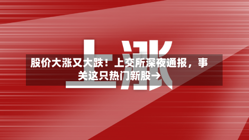 股价大涨又大跌！上交所深夜通报，事关这只热门新股→-第3张图片