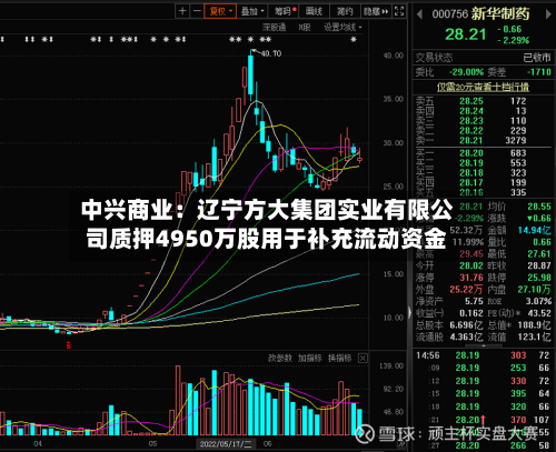 中兴商业：辽宁方大集团实业有限公司质押4950万股用于补充流动资金