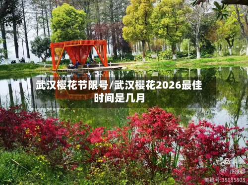 武汉樱花节限号/武汉樱花2026最佳时间是几月