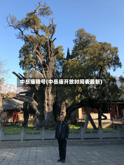 中岳庙限号(中岳庙开放时间表最新)-第3张图片
