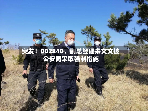 突发！002840，副总经理朱文文被公安局采取强制措施-第3张图片