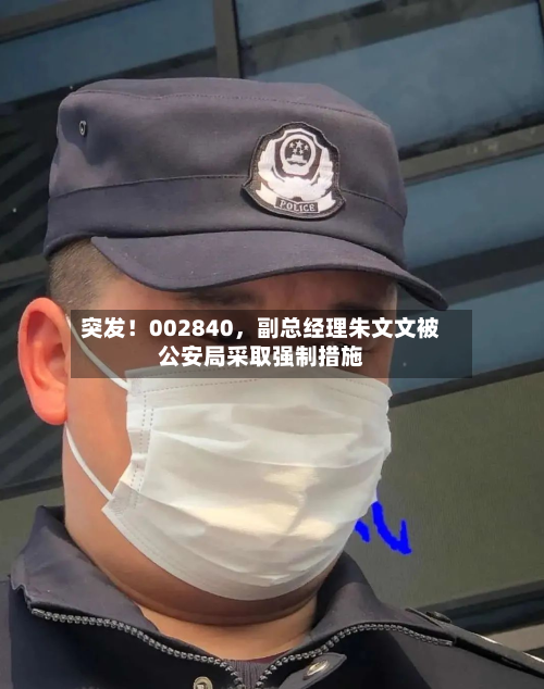 突发！002840，副总经理朱文文被公安局采取强制措施-第2张图片