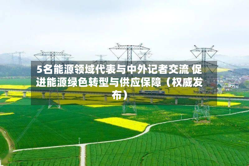 5名能源领域代表与中外记者交流 促进能源绿色转型与供应保障(权威发布)