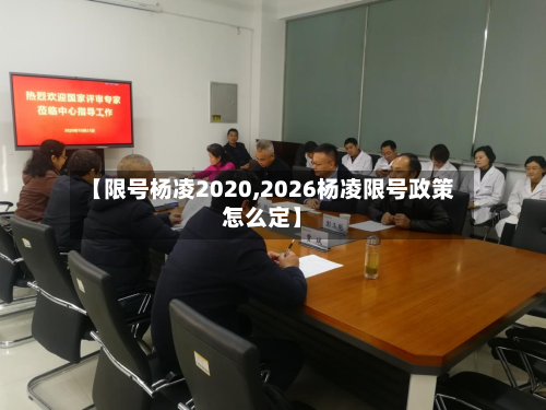 【限号杨凌2020,2026杨凌限号政策怎么定】-第2张图片