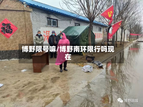 博野限号嘛/博野南环限行吗现在