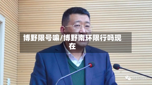 博野限号嘛/博野南环限行吗现在-第3张图片