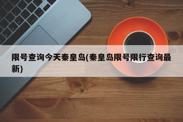 限号查询今天秦皇岛(秦皇岛限号限行查询最新)