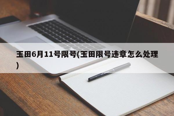 玉田6月11号限号(玉田限号违章怎么处理)