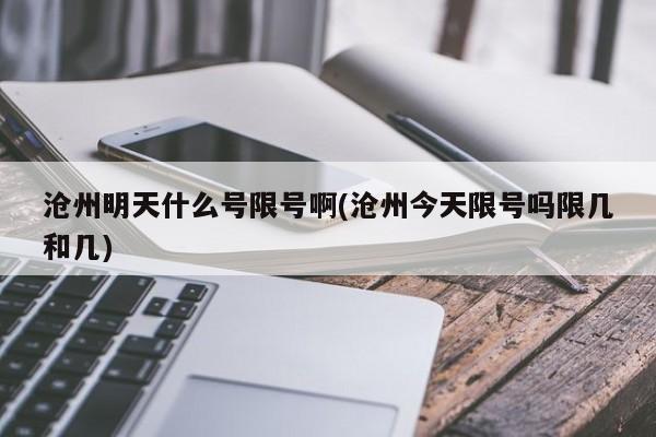 沧州明天什么号限号啊(沧州今天限号吗限几和几)