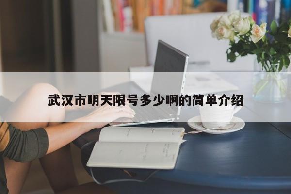 武汉市明天限号多少啊的简单介绍