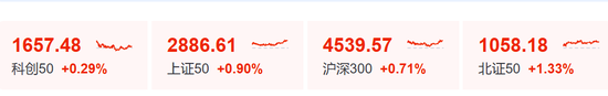 “小作文”	，引发的大涨！