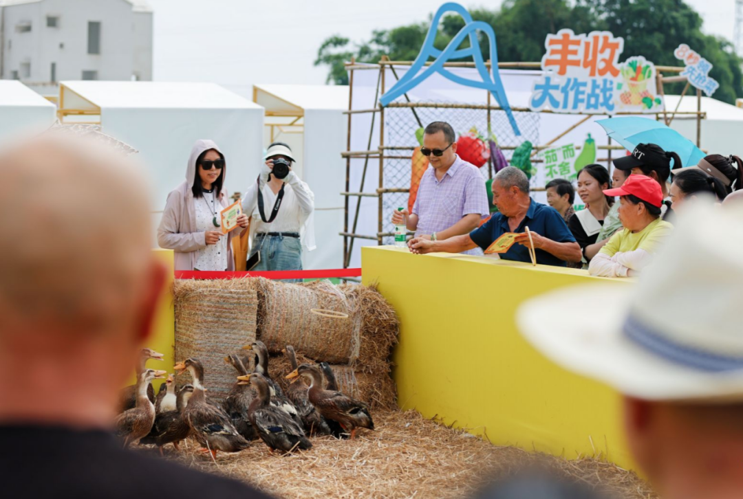 金秋稻浪涌蓉城 天府粮仓庆丰收——第九个中国农民丰收节成都主场活动在邛崃市高埂街道共富村启幕